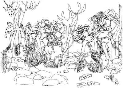 29CohenEdenS87_2kx2k.jpg?type=w1