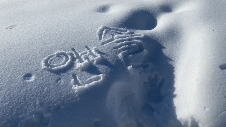 IMG_2845_2.gif?type=w773