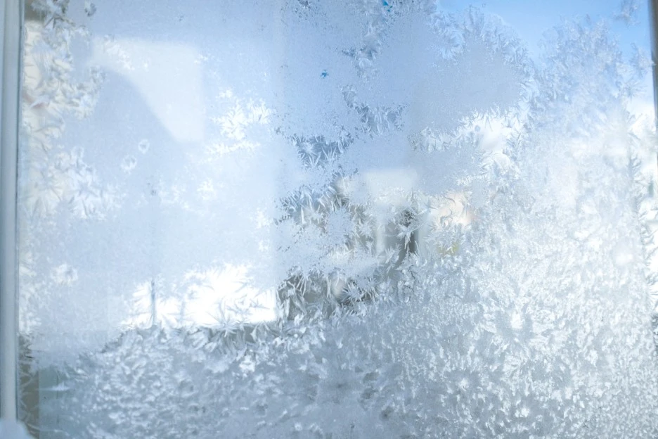 L1030288.jpg?type=w1