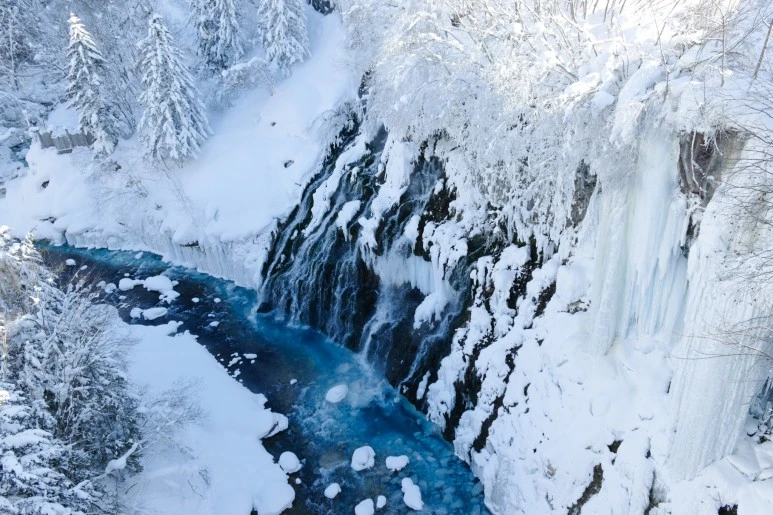 L1030452.jpg?type=w773