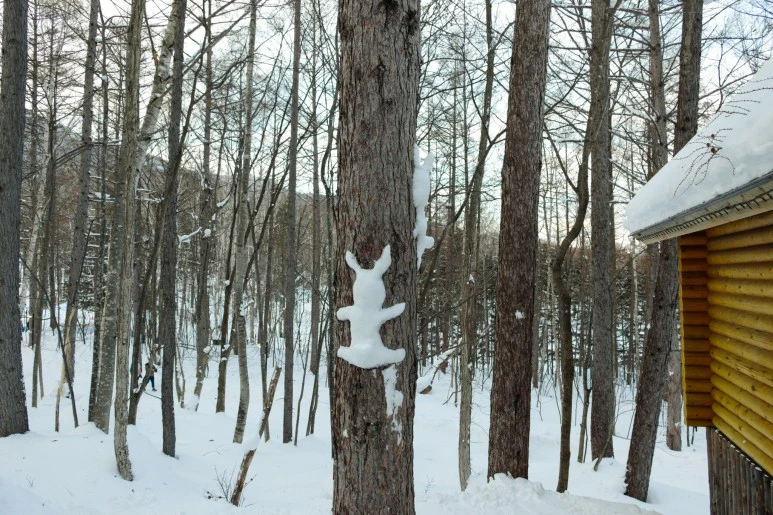 L1030488.jpg?type=w773