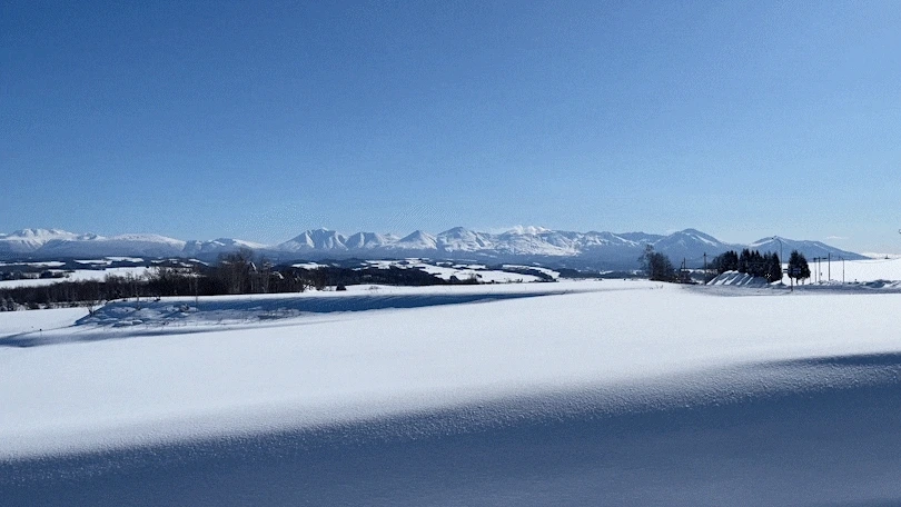 IMG_2845_2_2.gif?type=w1