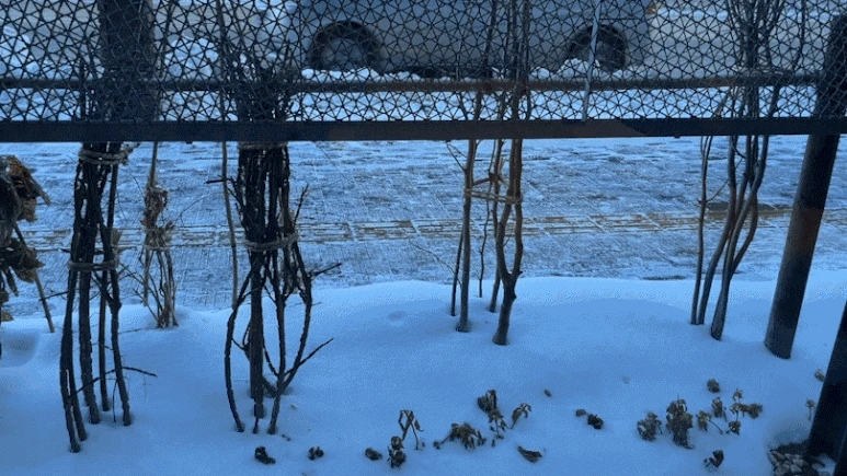 IMG_3573.gif?type=w773