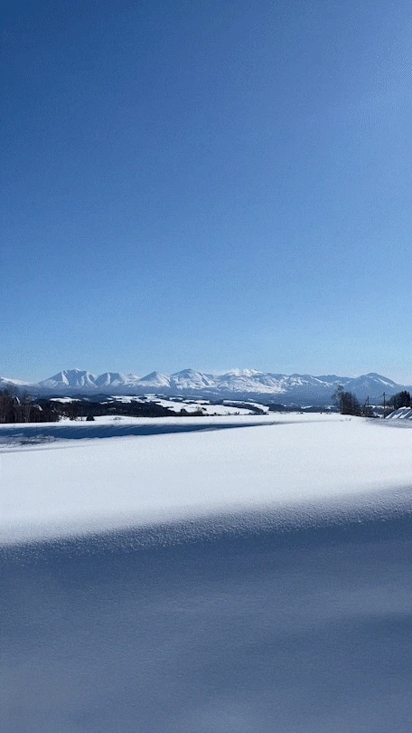 IMG_2845_2_3.gif?type=w773