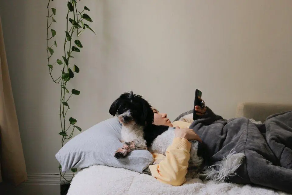 AD_4nXesl5OBTh_8AelUaTDupgoqVPP5JRQqQ8MvLx0Cwu9nLMmO_JXZc2qViHaSs1zVSYo8-J95IMT5MXS2nHEUS0bYl9qywYCXDo7vJFTctychYr_5NDyY34AHceK2HsPLxNeAjIVdM6zmpSLU6WT480Rbt0ONTKaVffN_MGSjzmgBA545xhBYug?key=YCn8OUDbmk5w2IZcKacuJA