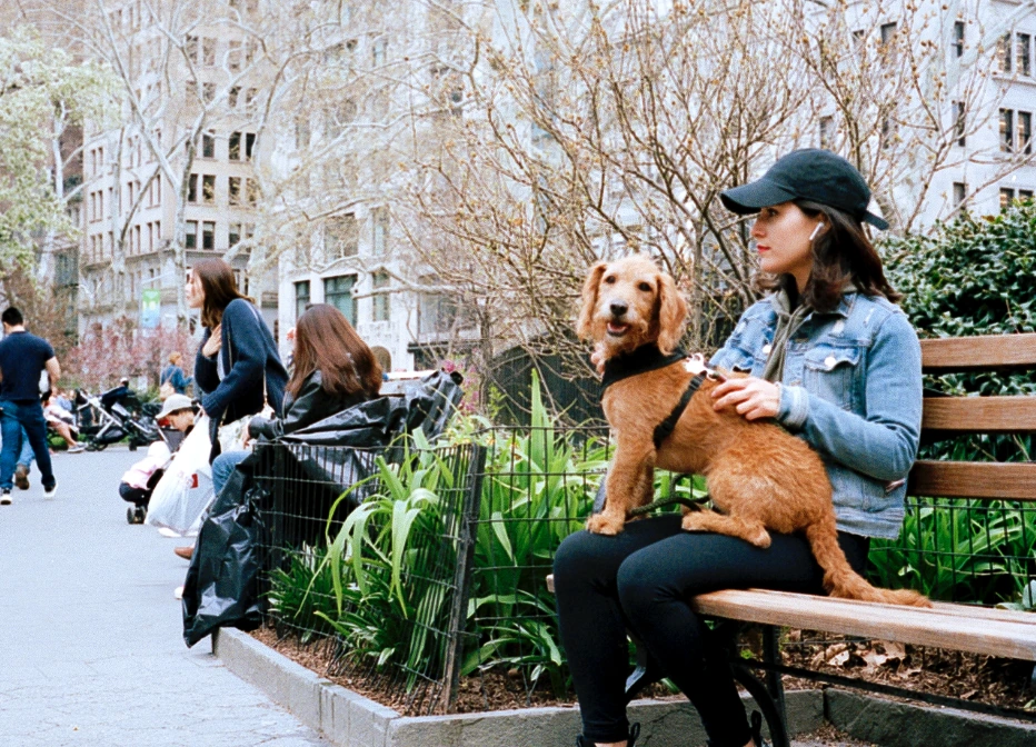 AGV_vUd5fesdQupuEQQLm_E83BSwrjXdNl2icTrFbOuf2628sz_lWD1ukGlMxNOw9jM0YdCZh7sn39CgBnSuyiXBLV4LQupAMhr22Su5JdEihoEgQi7yf1Nf35ekrXSJvClHTg1sQWmo1j2Z76FJbuPHmgmsewcM7_U=s2048?key=lkkF_co4qIpNZ9Ic2knUlg