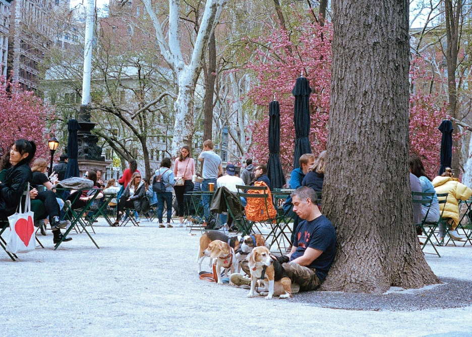 AGV_vUdYBY_Rvs_6tvYuv7ruFtzCjM600YDABhEZhmdX507C0VFhVznFqS8I7TmA1HeZswg8jq9p7GZw1hd9Aj415sBxkL4PCFfj5ggyCkTausCluayeblHWn8dt3kGWGKgSFJj9qazbWqMJ9uZGMUZ0Pmvxpo-24FU=s2048?key=lkkF_co4qIpNZ9Ic2knUlg