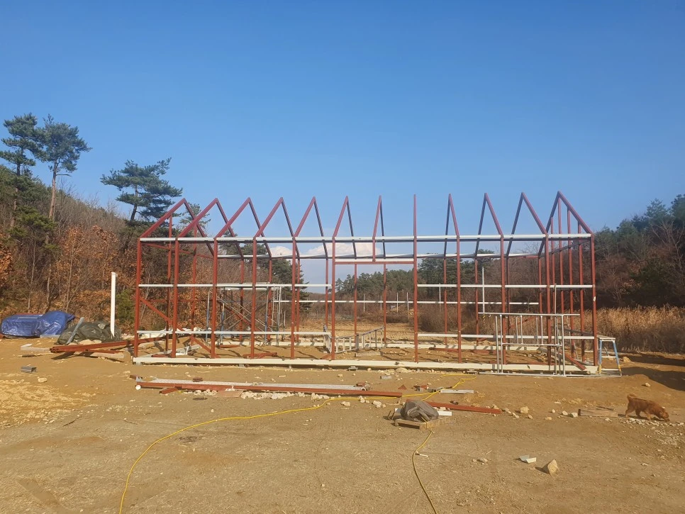 20201127_132638.jpg?type=w966