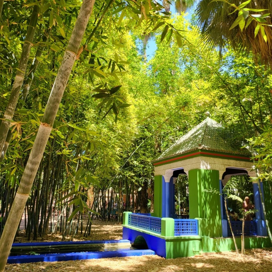 KakaoTalk_20230405_160644368_(1).jpg?type=w1