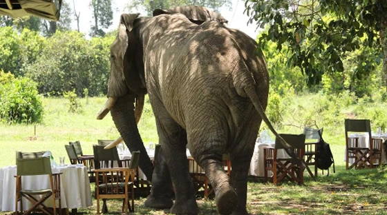 image_112.png?type=w966