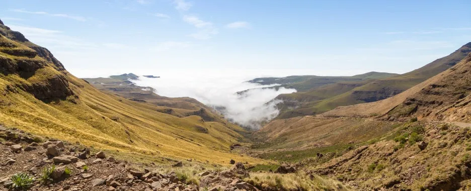 %EB%A0%88%EC%86%8C%ED%86%A0.jpg?type=w1