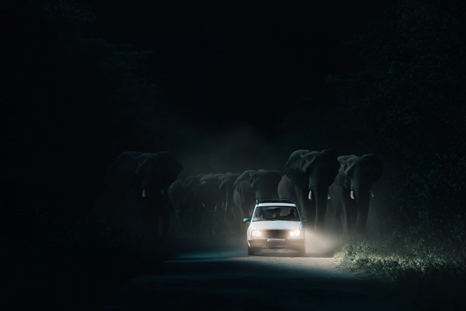 SE-cb896647-f568-4fa4-a11b-9da9a864eca8.png?type=w1