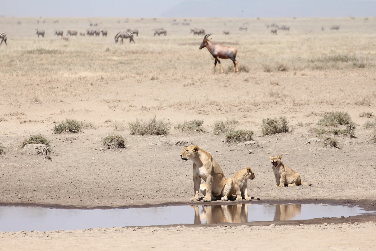 18년 2월일주 캐논 (363).JPG