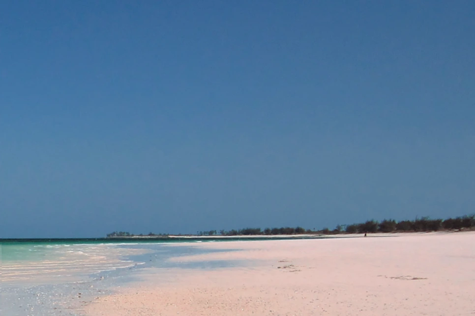 SE-f359641f-aaa1-4683-b10b-6e2a500611fa.png?type=w966