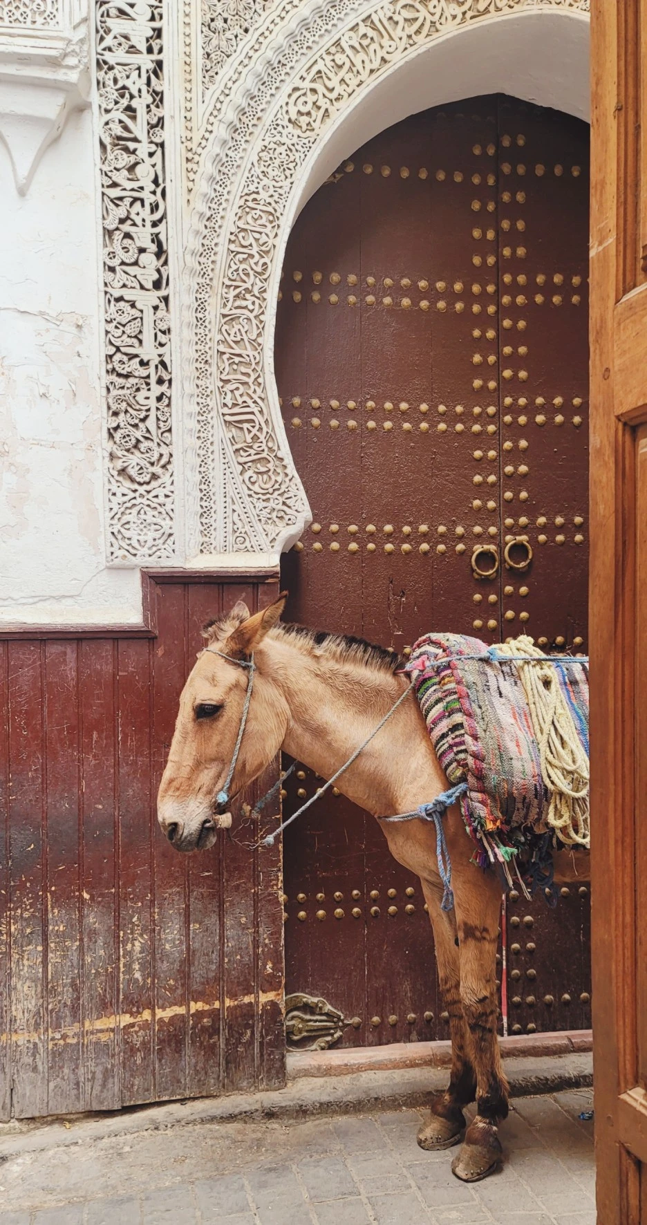 SE-ce411e3d-c822-4b44-a714-b9d696b6e384.jpg?type=w1