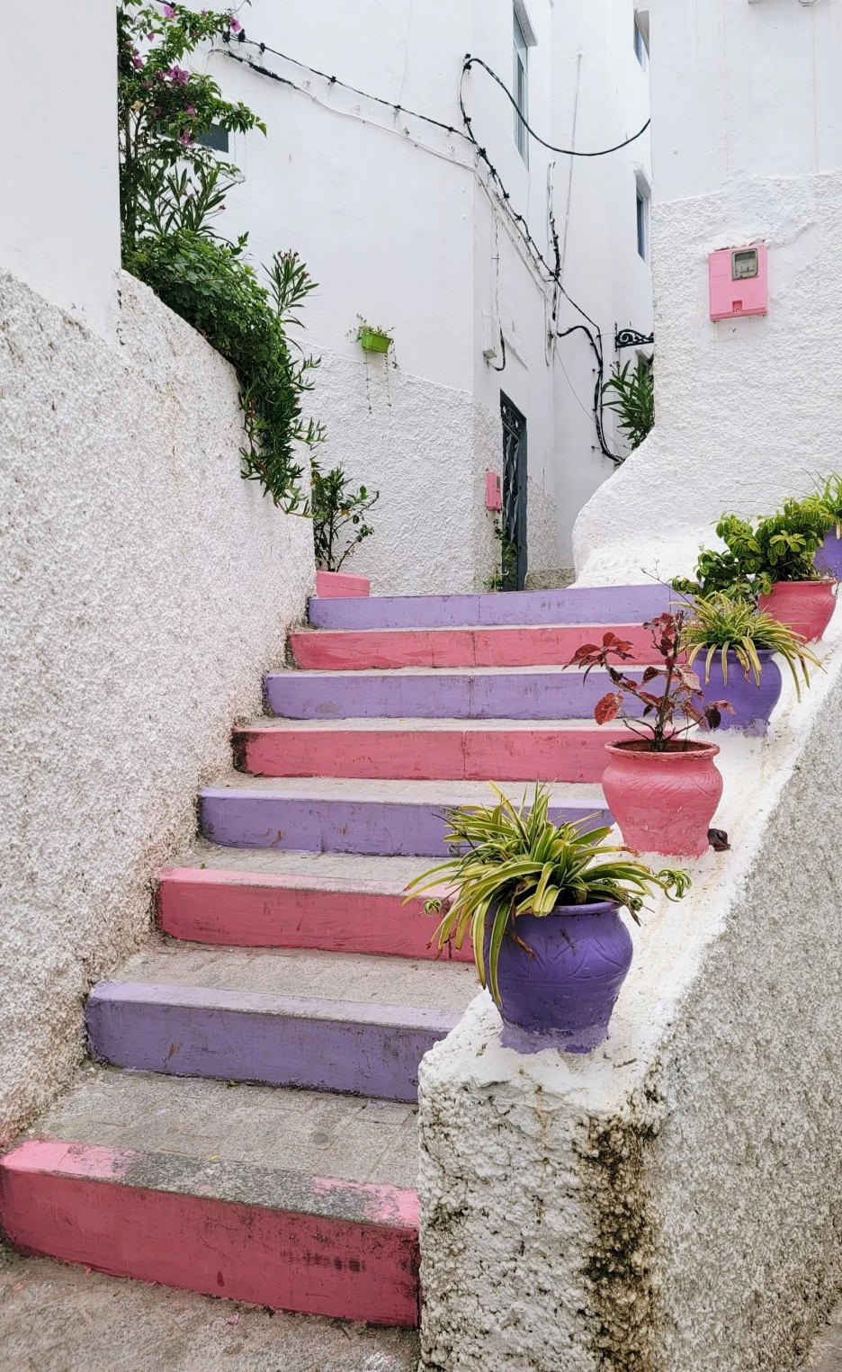 SE-1e805a11-9556-4d7c-9f8d-b710d738b700.jpg?type=w1