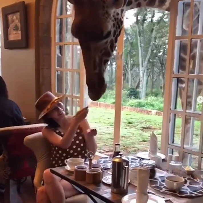 SE-30b23e87-1b5c-4921-ac75-1b3b6ad26e3e.png?type=w966