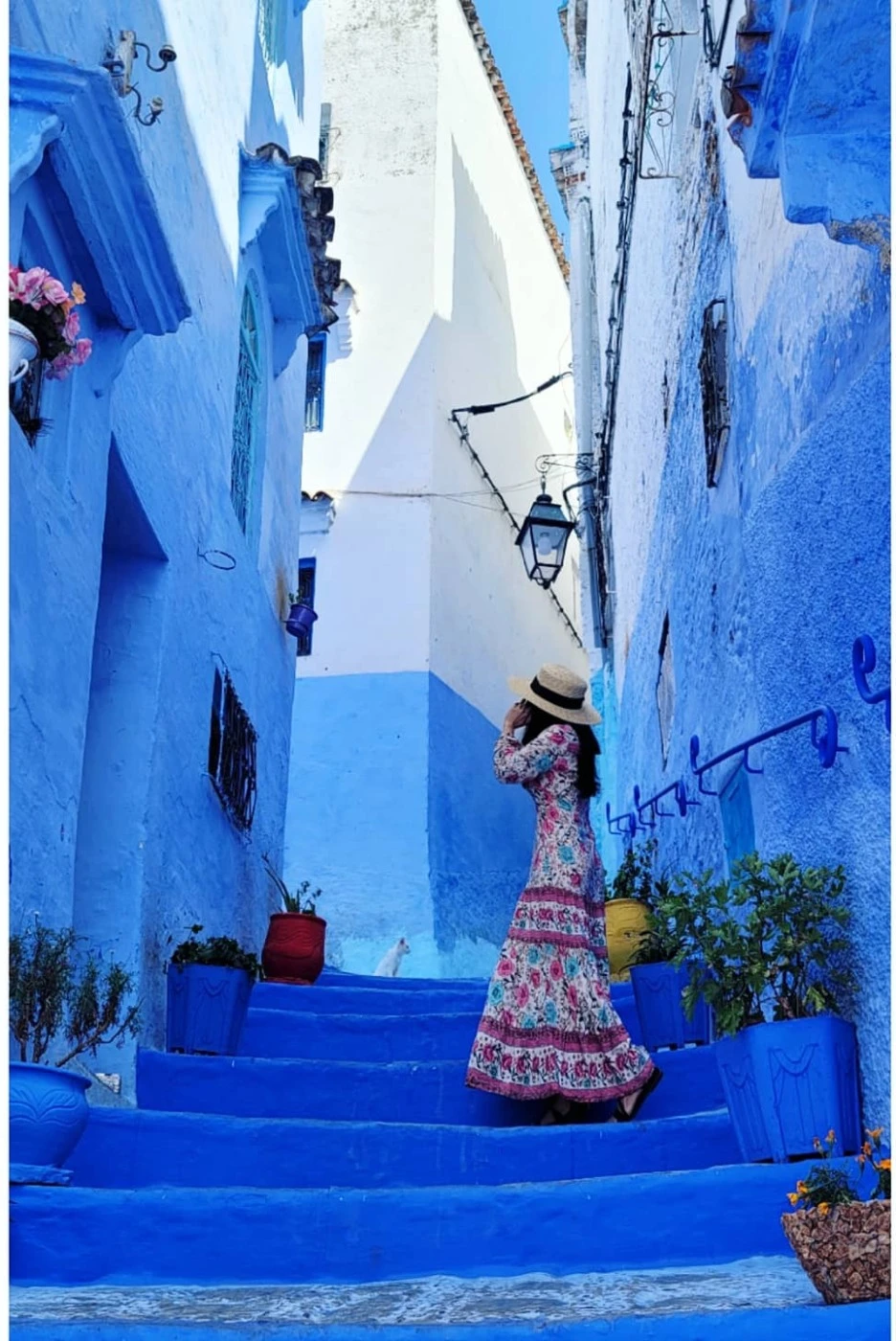 SE-4a369460-cfcd-40d4-bc26-479f63f6c540.jpg?type=w1