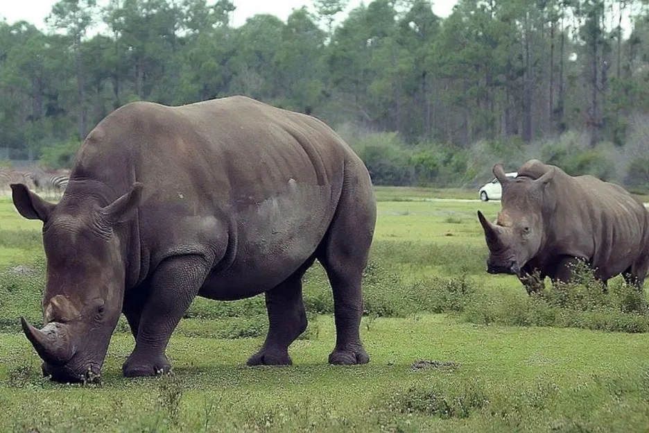 %EC%97%90%EC%8A%A4%EC%99%80%ED%8B%B0%EB%8B%88%EC%BD%94%EB%BF%94%EC%86%8C.jpg?type=w1