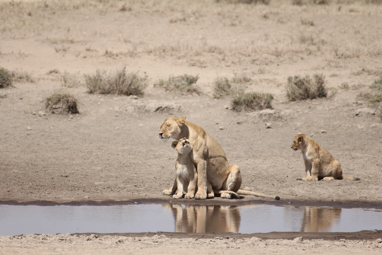 18년 2월일주 캐논 (373).JPG