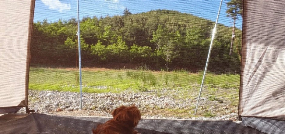 SE-c2de01b0-56c5-4cdc-a191-4b7b4f03f919.jpg?type=w1