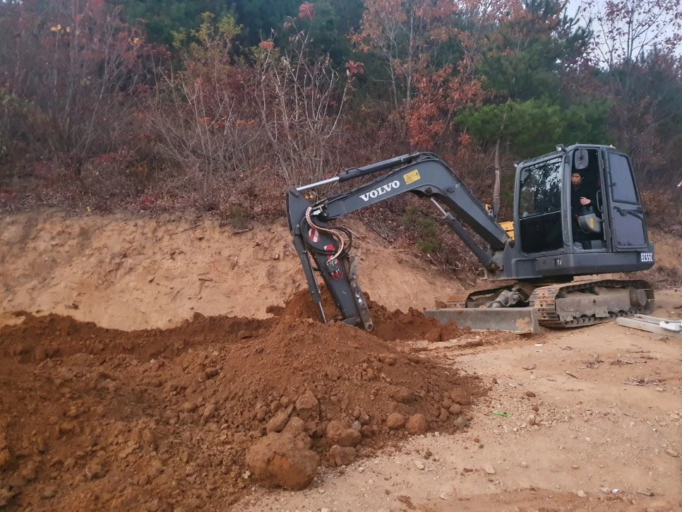 20201107_173445.jpg?type=w966