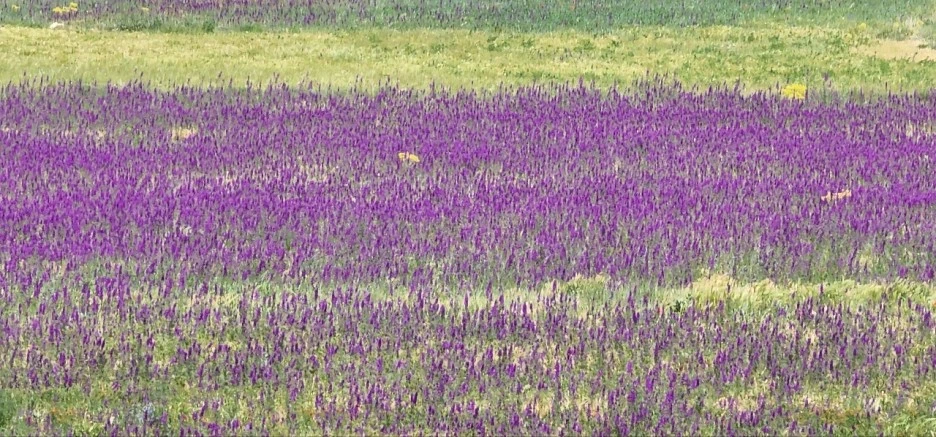 KakaoTalk_20230405_155631227_06.jpg?type=w1