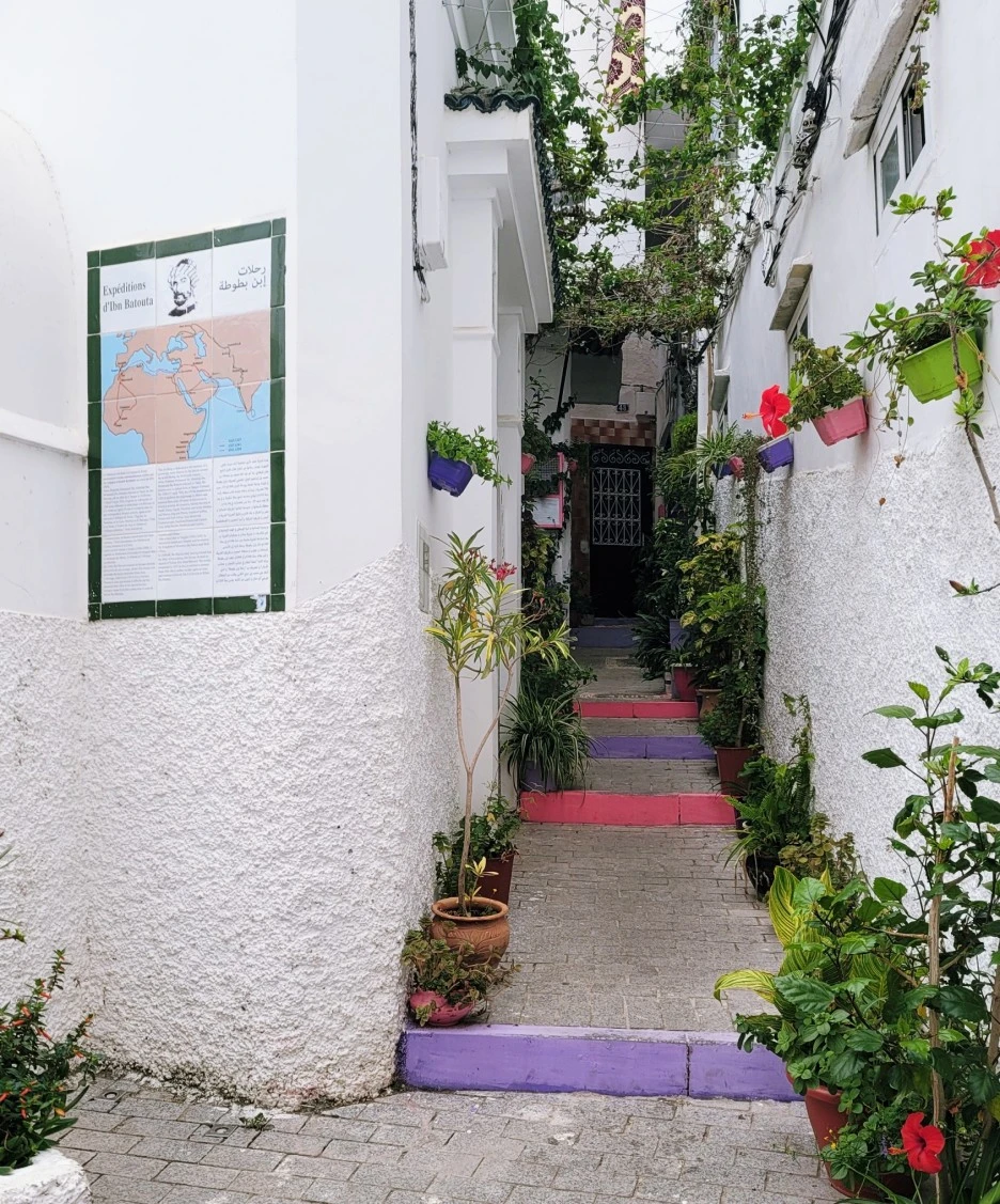 SE-c7b03f11-fe6a-48c3-b100-a57ac88bfb98.jpg?type=w1