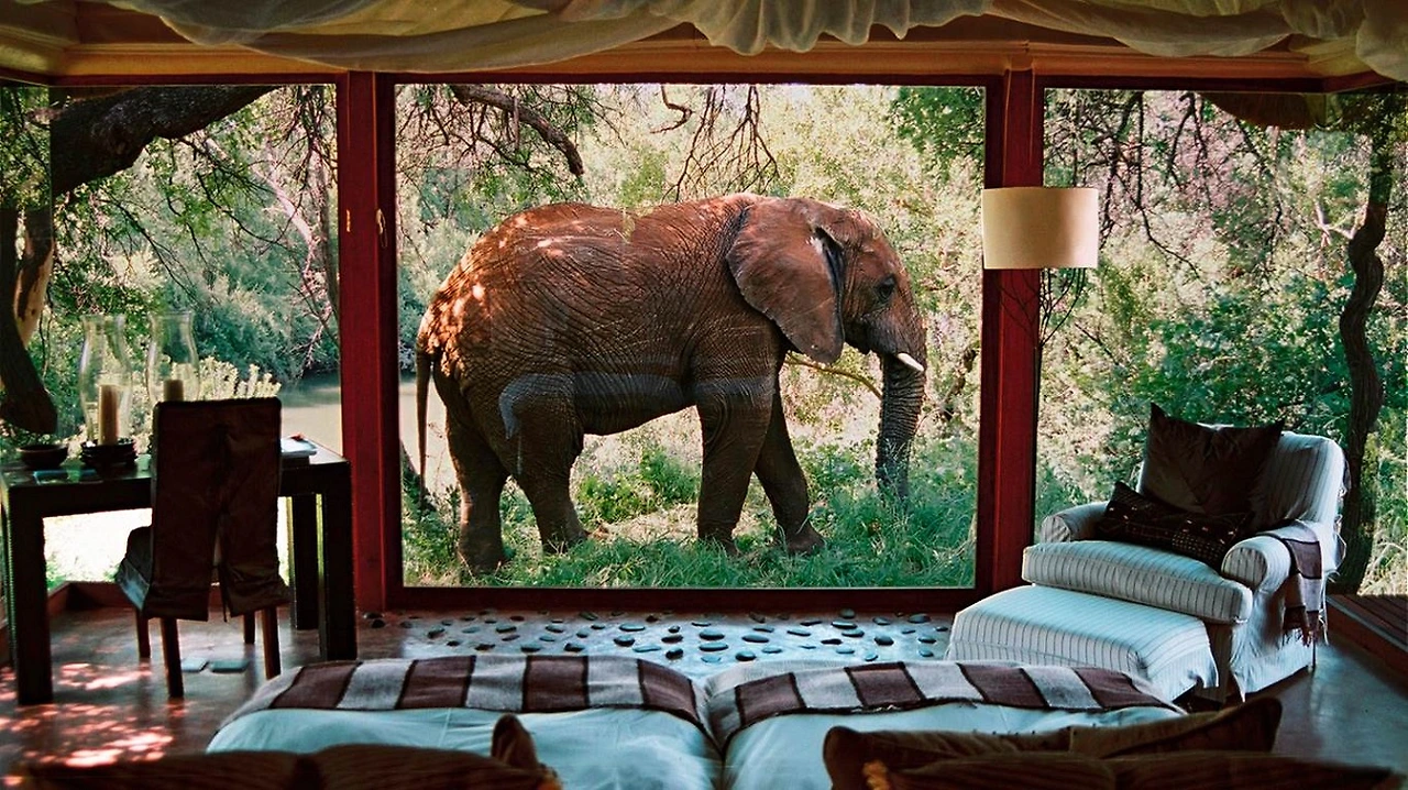 sanctuary-makanyane-safari-lodge-north-west-province.jpg?ssl=1