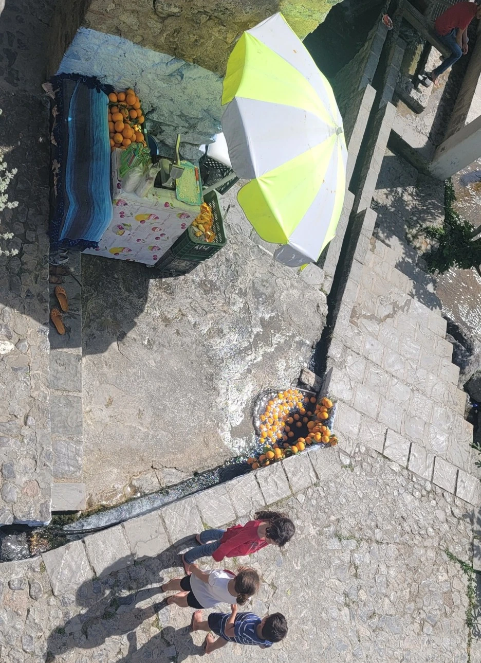 SE-c864d2ce-c906-4bef-9737-3fb7edc9fcf9.jpg?type=w1