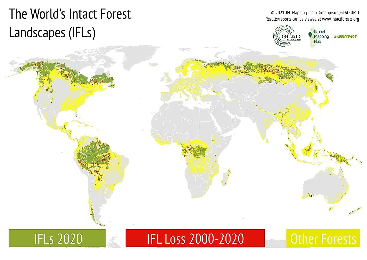 e87fff51-ifl_2020_infographic__projection_en-2048x1448-1.jpeg