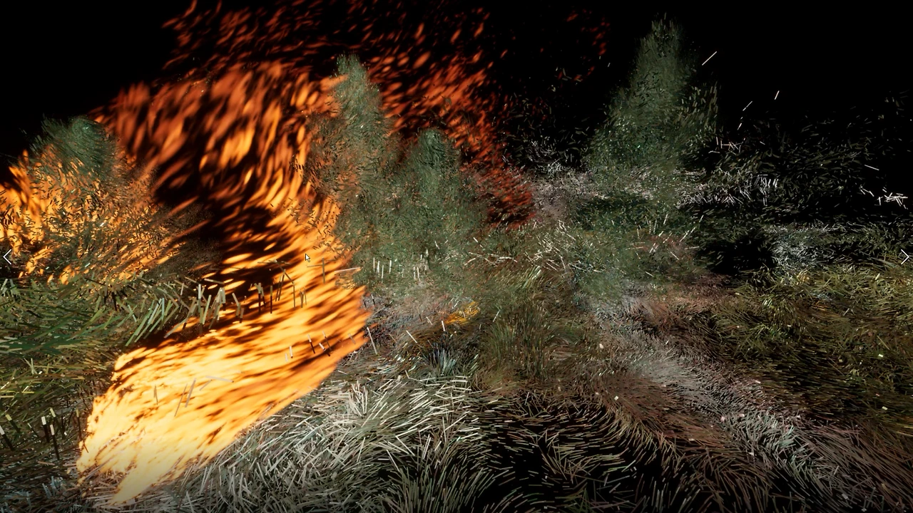 불타오르는 숲 3.PNG