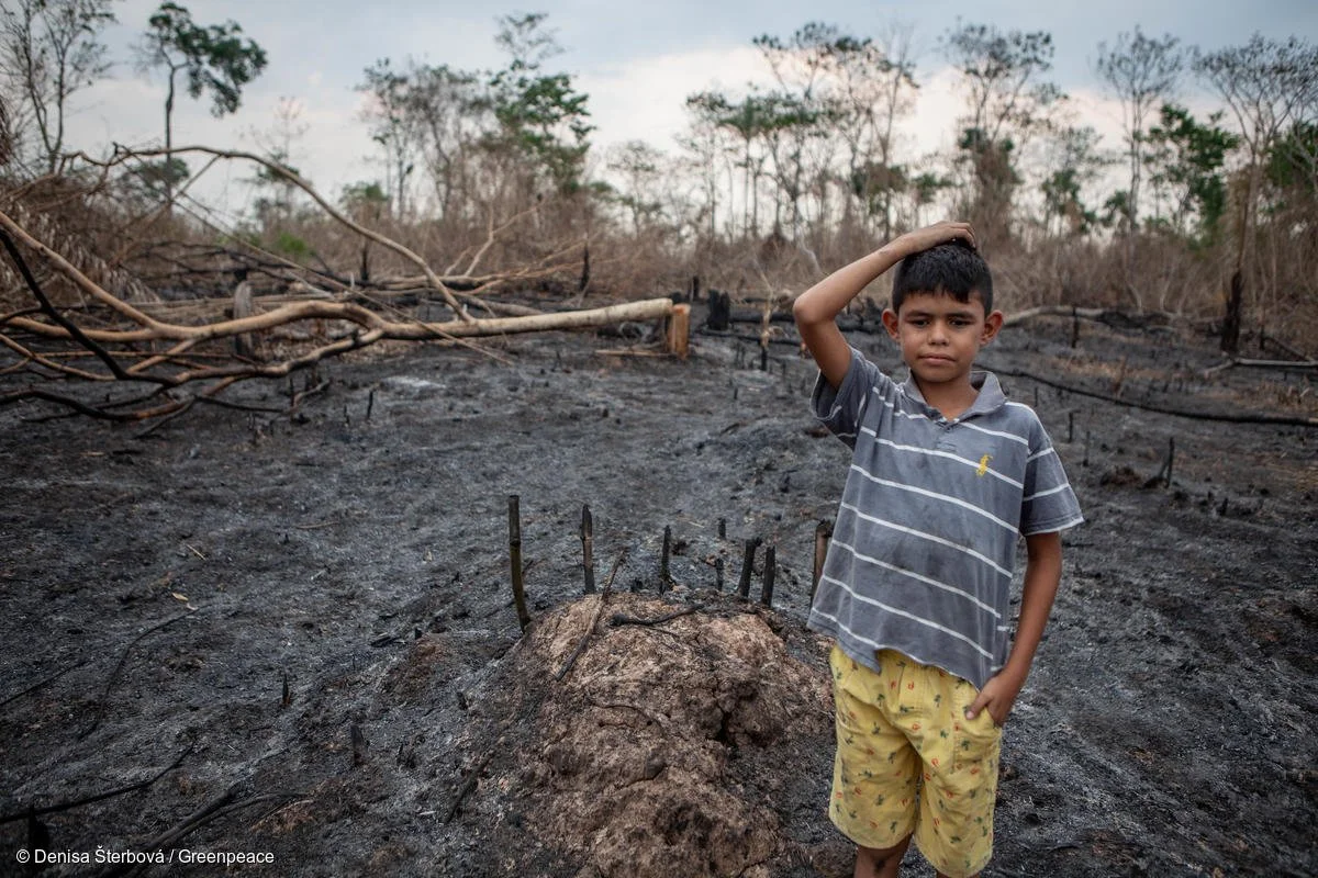 GP0STU59N_Medium_res_with_credit_line.jpg?type=w1200