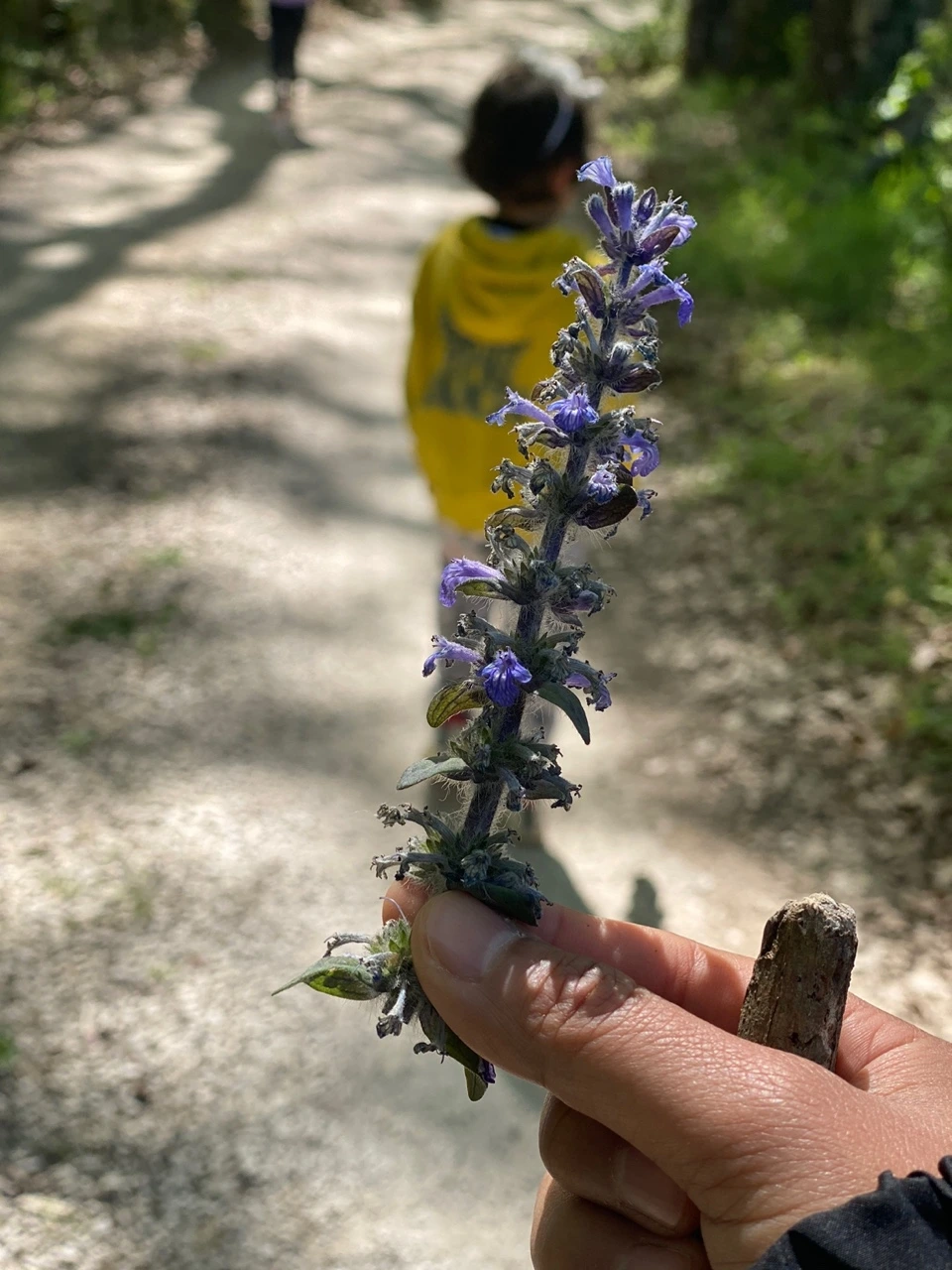 KakaoTalk_Photo_2025-08-12-15-29-21 010.jpeg