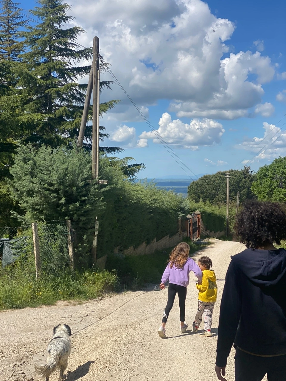 KakaoTalk_Photo_2025-08-12-15-29-21 011.jpeg