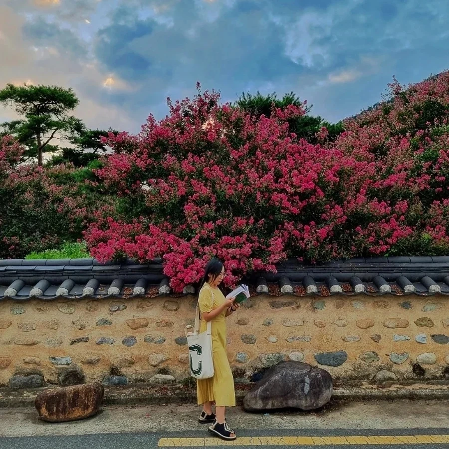 IMG%EF%BC%BF20220801%EF%BC%BF001937%EF%BC%BF681.jpg?type=w1