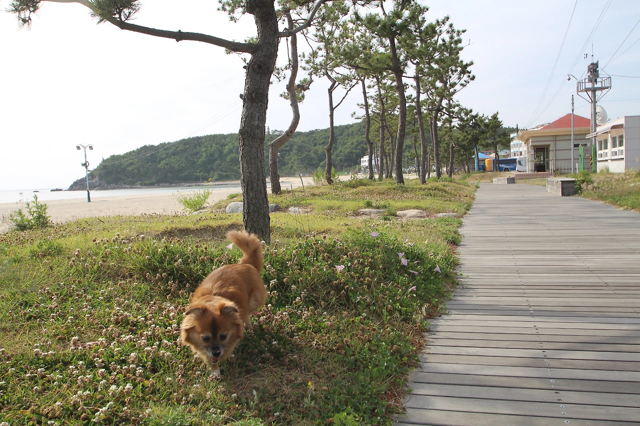 둥해 꼬맹이2.JPG