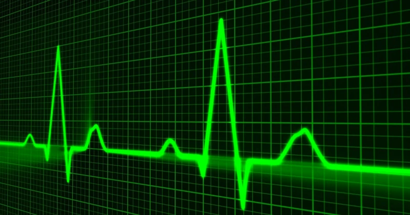 bd1207dfd95fd5c42e188900d63b34a4.png?type=w1