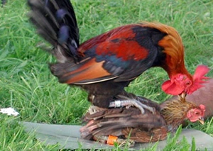 Image_24.jpg?type=w1