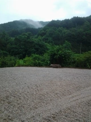 20130713_090538.jpg?type=w2