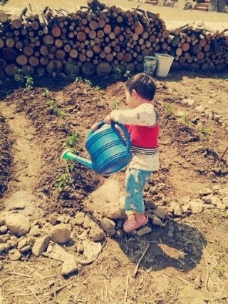 1373686156334.jpg?type=w2