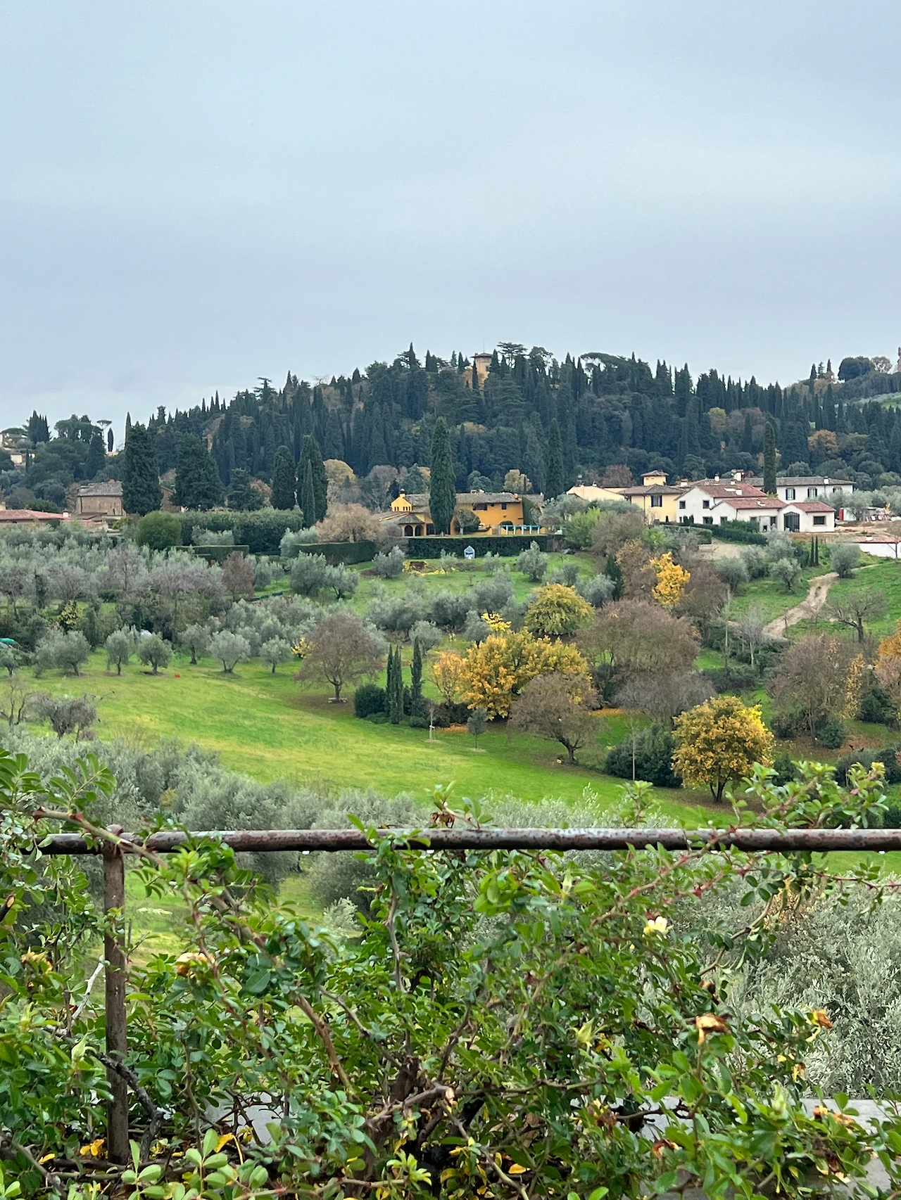 KakaoTalk_Photo_2023-03-03-10-08-08 001.jpeg