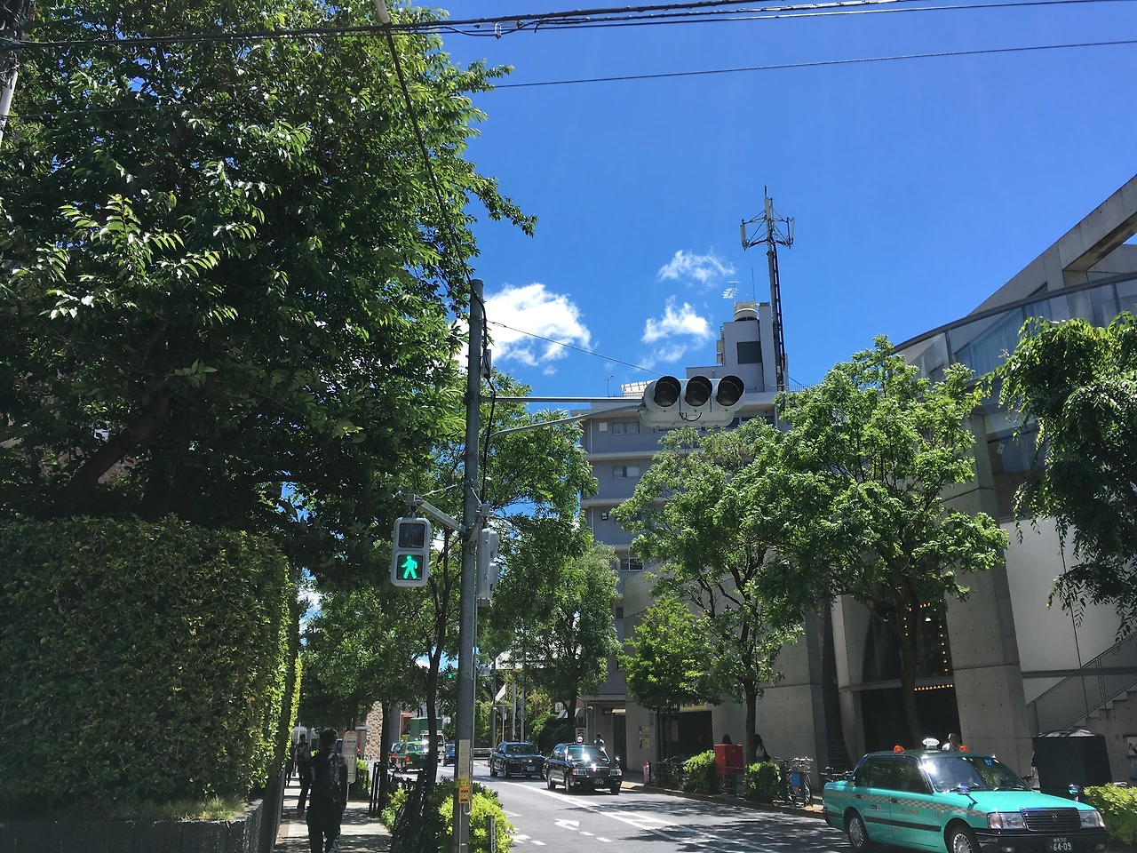 아오야마 거리_2018-05.JPG