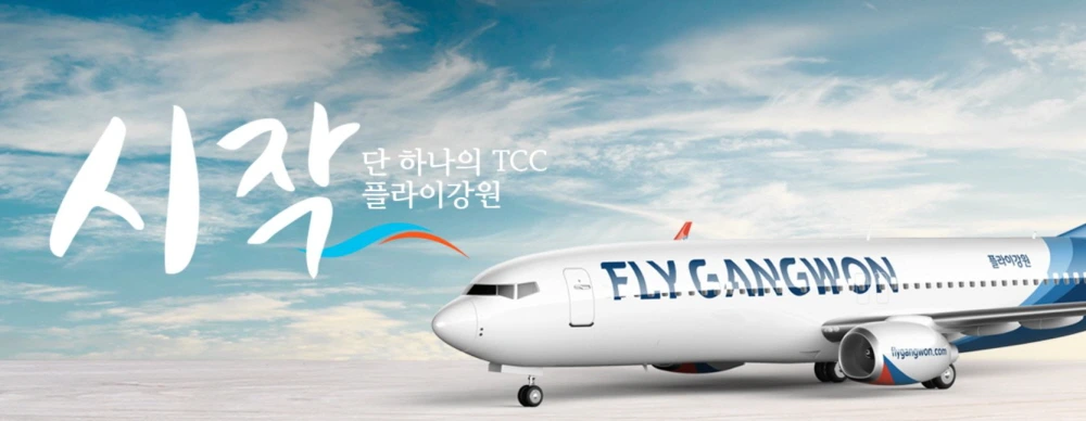 뉴 페이스 3개 항공사 (8).JPG