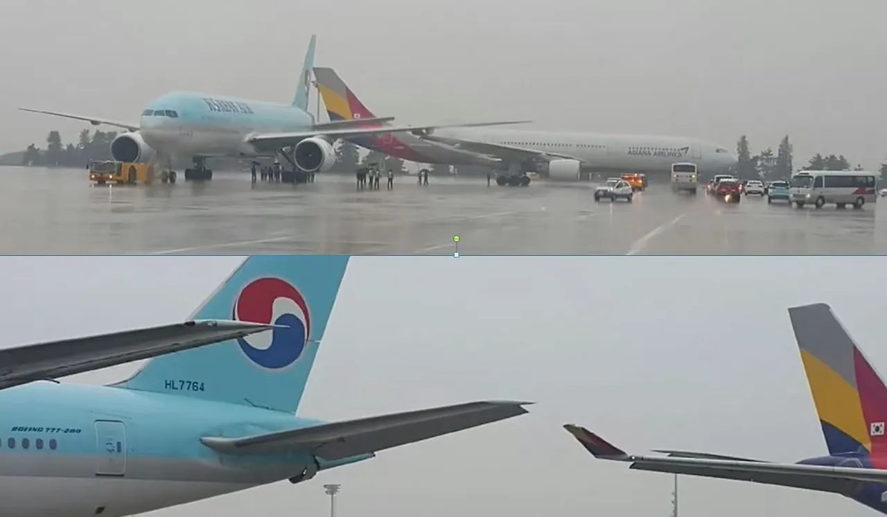 메인 이미지.JPG