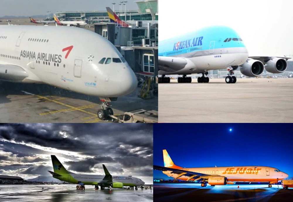 메인 이미지.JPG