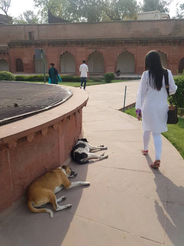 image.png?type=w1600