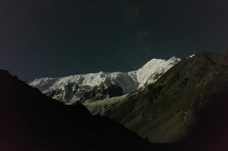 09037233.JPG?type=w773