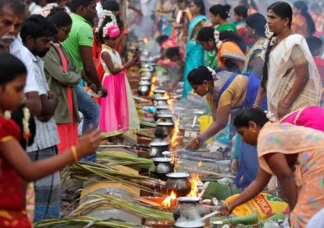 Devotees_prepare_rice_dishes_to_offer_to_the_Hindu_Sun_God_as_they_attend_Po.jpg?type=w466