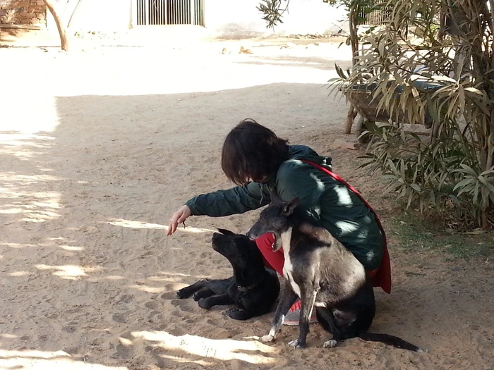 image.png?type=w1600